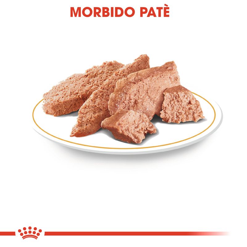 12x85g Royal Canin Adult Chihuahua Mousse - Umido Cane 12x85g Royal Canin Adult Chihuahua Mousse - Umido Cane
